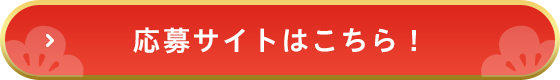 応募サイトはこちら
